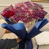 ��Ϧ�͹ι��ֻ�