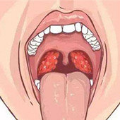 ������������������