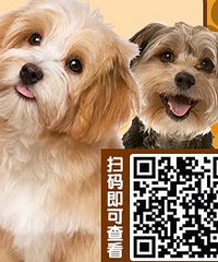 ����Ȯ֤�����ά��