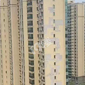 ĳ¥����������������