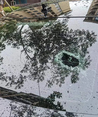 ����һ���Ӿƺ���Ů�ѳ��� һ��֮�½���ƿ�����⣡