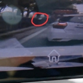 ��E���յĳ���������