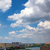 ���¿��� ��ɫ