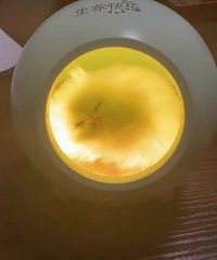 �������Ů�ѵ���Ϧ����ܺ��� ��Ʒ��װ���� �������ְ�����