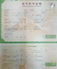 ����֤�����ܹ��ܣ�����Ҫ����Ӱ�캢����ѧ ������һϵ������