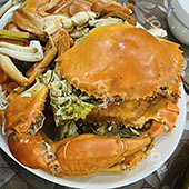 ����ֻ��������з