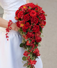 �����ϵ��������������߷ֳ�С��������