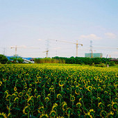 �ĵ������˻���