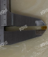 [�²�]���ʯʹ����������������һ�������������ڡ�