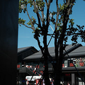 ��Ϧ��Ӱ����ˣ