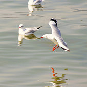 ���뾲 ����ʵ