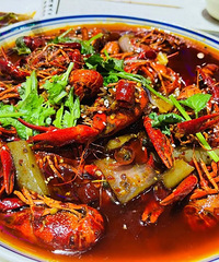 ����ʳ�ֲݡ�ץסС��Ϻ����β�ͣ�����������