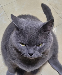 ��ȥߣ������è ��ǿ��Ҫ��Ҫ������ ����ʵ�ڲ�����...