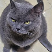 ������������զ��