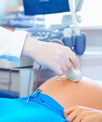 ���ò�˵ ��������һ�����ӳɱ�̫���ˣ�����Ѿ�����