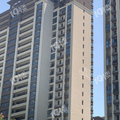 ��Ƥ������