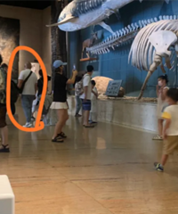 ������������ ʲô���Ӹ�ĸ�̵�ʲô��С��