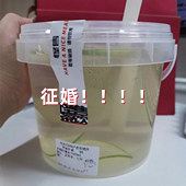 MMȫ�����µ��̲�