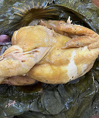 �ÿ���� ����һֻ�л�����