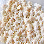 ����������С���