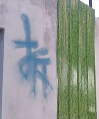 ȫ������2.5-2.6��/ƽ���ң���ë����İ�Ǩ�۸�ʾ�ˣ�