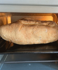 �ÿ�����ǡ���Ҷ�л��������˱ǣ�