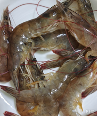 ���Ǹ������������Ϻ�ԣ������䶳��Ϻ30Ԫһ�� ����˵Ҫ����