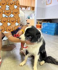 ˭�ұ����������ˣ����űȽ�С ��������ָ�