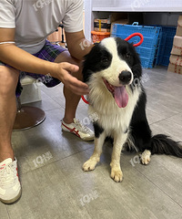 ˭�ұ����������ˣ����űȽ�С ��������ָ�