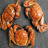 ����Ҫ�ɿ���