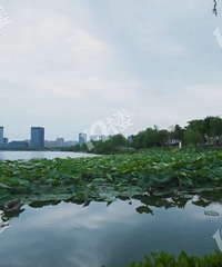 [���ĳ���]����������ķз��������ĺ��ʺ���ס��