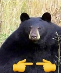 ��û����lol���ε��أ�������û��������