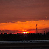 5���µ�����