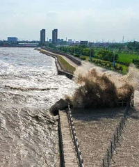 ��ɢ���ѣ����꺣���۳����⼸��������ȥ��