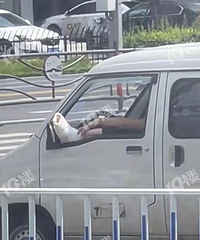 ������ͷʵ��ţX�������Ŵ�ʯ���˻��ҿ����ֶ���������