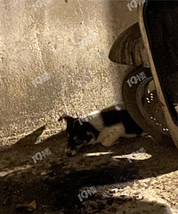 ˭�ҵ�С���߶��˻��������ˣ��ȱ���ѹ���ˡ��ÿ���