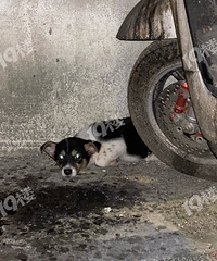 ˭�ҵ�С���߶��˻��������ˣ��ȱ���ѹ���ˡ��ÿ���