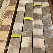 ���Ǻ����ǣ�