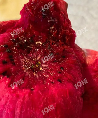 ����yue�ˣ��Ի�������һ�γԵ����ӣ����������ߣ�