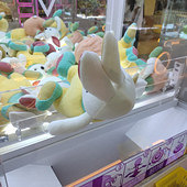 ��ѧ����һ�ʷ���