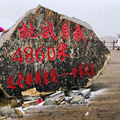 ��ű�������