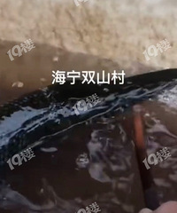 �������˴���̬�ӵ���ץ������ȸ�������׵ģ������Σ�