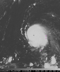 ��ǿ̨�硰���ŵ�����ˣ��Լ�����ɶӰ�죿