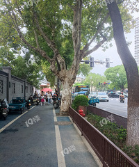 ��ѧ��һ�� ·����������֣��������Ǽҳ����ͳ� ���й�������