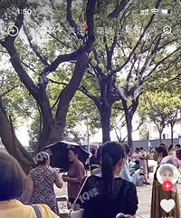 ������Щ�ط������׽ǵģ���˵����԰�У���ĩ�˻�ľ���Σ�