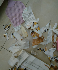 �����ʱȣ������˼Һ����� �Լ��Һ���û �������ⲻȥ