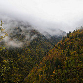 ���ӹ�����