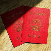 ������800���