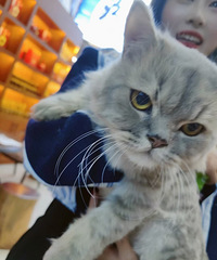 ���������ѳ�������� ���Ǻ��ӳ�����������ô�죿