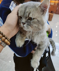 ���������ѳ�������� ���Ǻ��ӳ�����������ô�죿